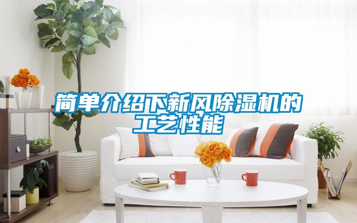 国产精品欧美激情视频 简单介绍下新风除湿机的工艺性能