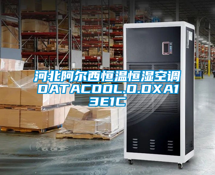 国产精品三级在线观看 河北阿尔西恒温恒湿空调DATACOOL.O.DXA13E1C