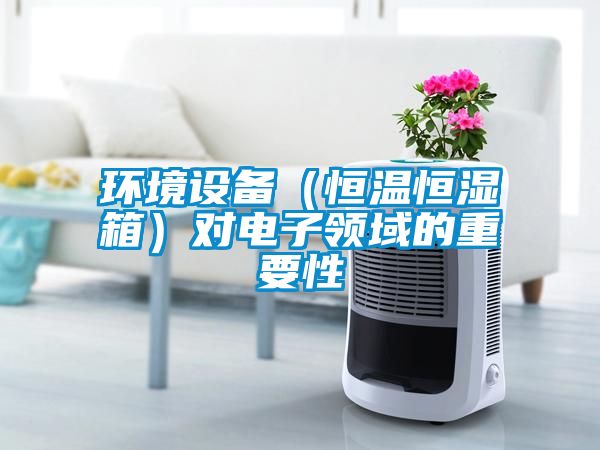 国产精品欧美激情视频 环境设备（恒温恒湿箱）对电子领域的重要性