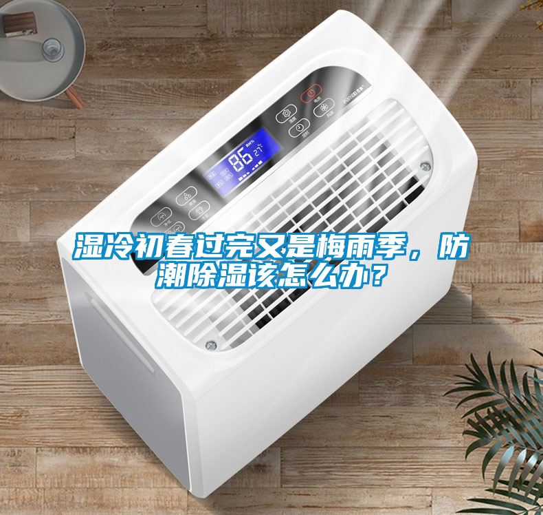 国产精品探花在线观看 湿冷初春过完又是梅雨季，防潮除湿该怎么办？