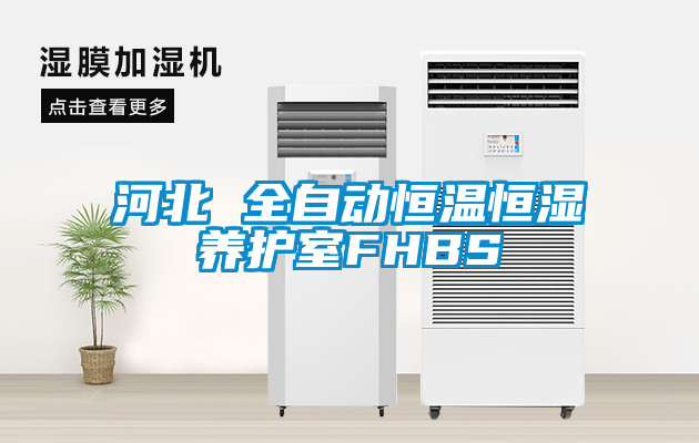 国产精品欧美激情视频 河北 全自动恒温恒湿养护室FHBS