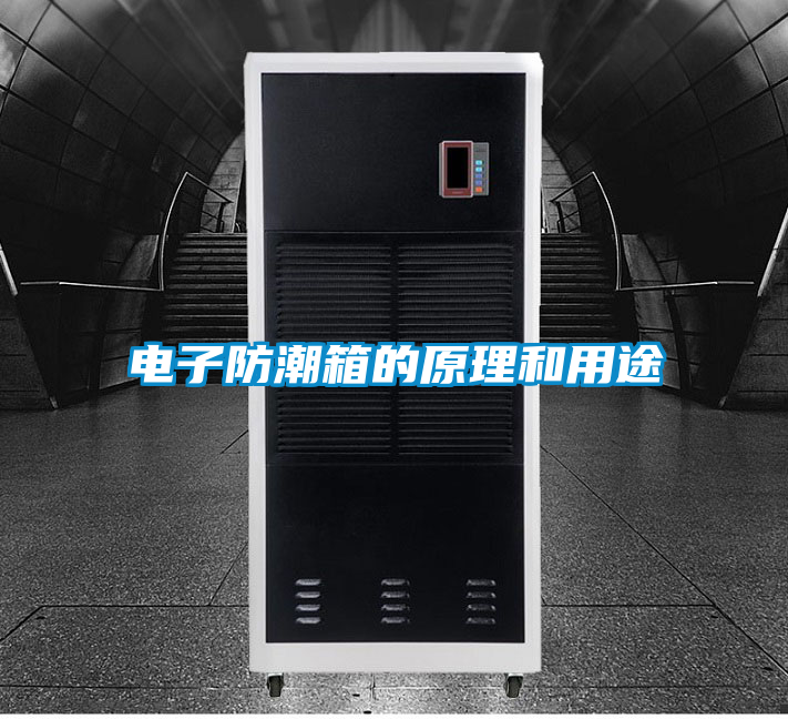 国产精品欧美激情视频 电子防潮箱的原理和用途