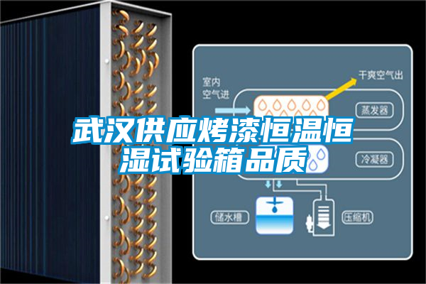 国产精品欧美激情视频 武汉供应烤漆恒温恒湿试验箱品质