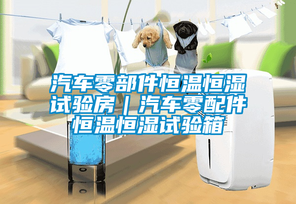 国产精品三级在线观看 汽车零部件恒温恒湿试验房｜汽车零配件恒温恒湿试验箱