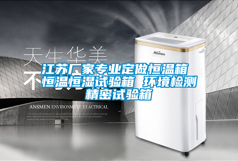 国产精品欧美激情视频 江苏厂家专业定做恒温箱 恒温恒湿试验箱 环境检测精密试验箱