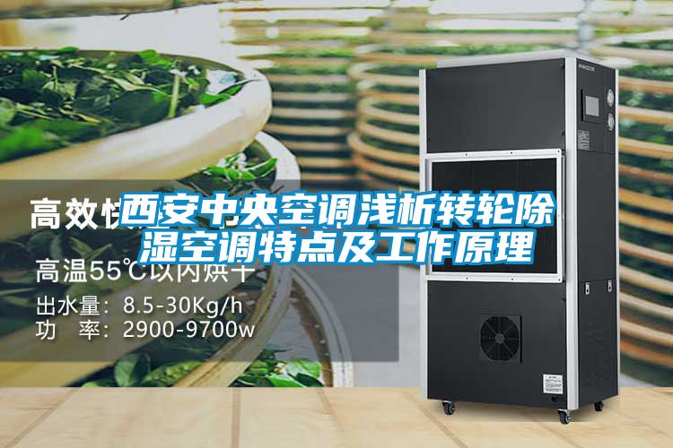 国产精品三级在线观看 西安中央空调浅析转轮除湿空调特点及工作原理