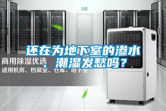 国产精品欧美激情视频 还在为地下室的渗水、潮湿发愁吗？