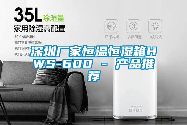 国产精品欧美激情视频 深圳厂家恒温恒湿箱HWS-600 - 产品推荐