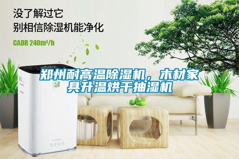 国产精品三级在线观看 郑州耐高温除湿机，木材家具升温烘干抽湿机
