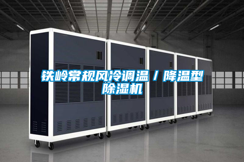 国产精品探花在线观看 铁岭常规风冷调温／降温型除湿机