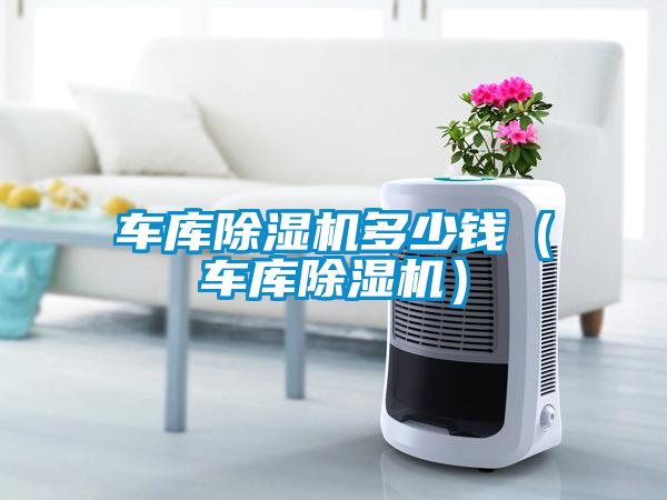 国产精品探花在线观看 车库除湿机多少钱（车库除湿机）