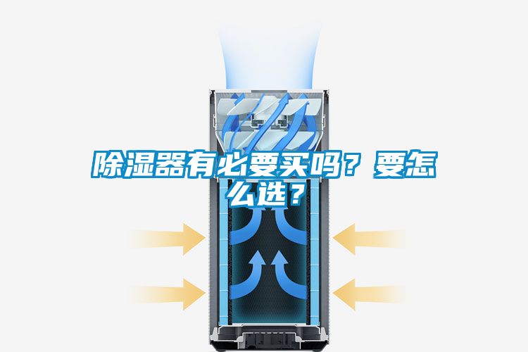 国产精品三级在线观看 除湿器有必要买吗？要怎么选？