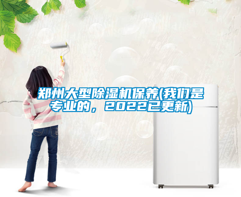 国产精品三级在线观看 郑州大型除湿机保养(我们是专业的，2022已更新)