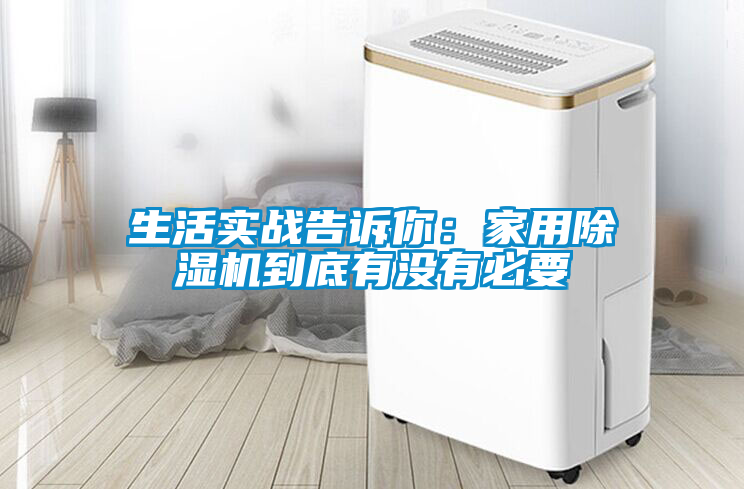 国产精品三级在线观看 生活实战告诉你：家用除湿机到底有没有必要