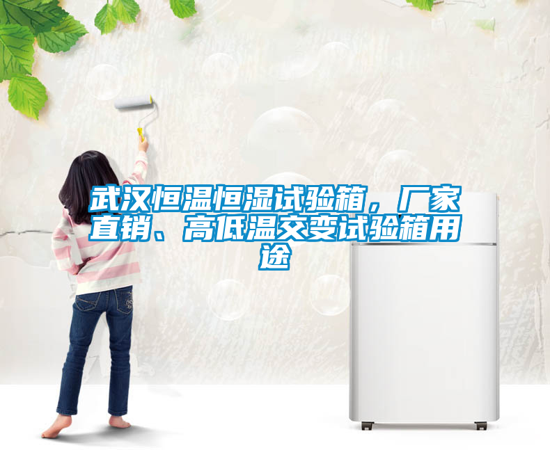 国产精品三级在线观看 武汉恒温恒湿试验箱，厂家直销、高低温交变试验箱用途