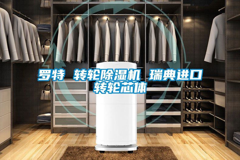国产精品欧美激情视频 罗特 转轮除湿机 瑞典进口转轮芯体