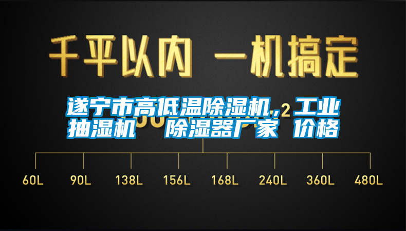 国产精品探花在线观看 遂宁市高低温除湿机，工业抽湿机  除湿器厂家 价格