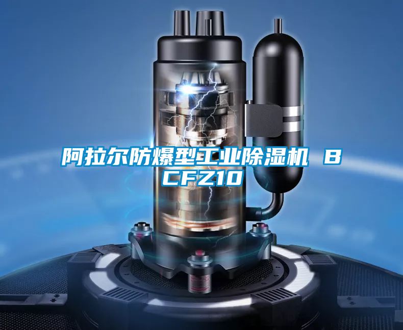 国产精品欧美激情视频 阿拉尔防爆型工业除湿机 BCFZ10