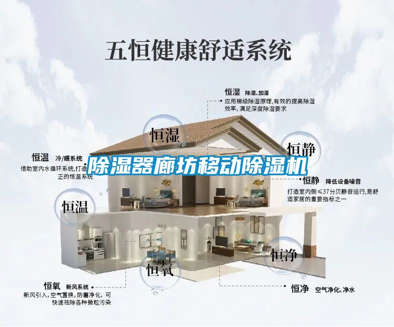 国产精品三级在线观看 除湿器廊坊移动除湿机