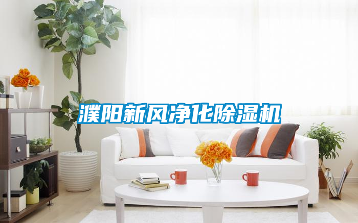 国产精品欧美激情视频 濮阳新风净化除湿机