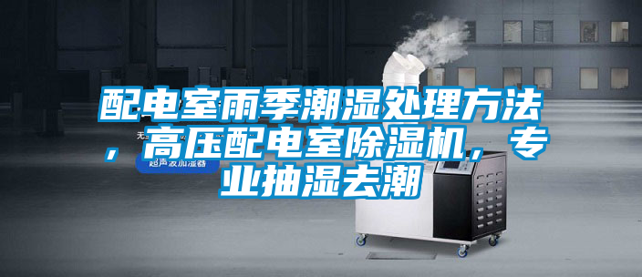 国产精品三级在线观看 配电室雨季潮湿处理方法，高压配电室除湿机，专业抽湿去潮