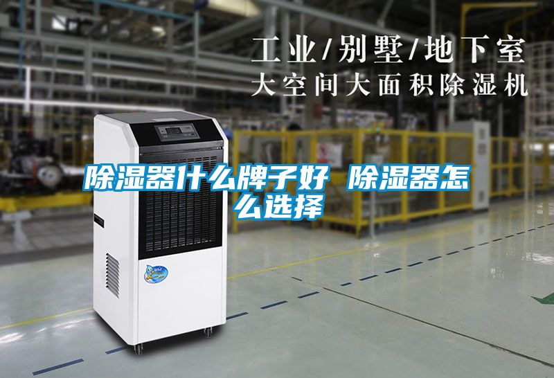 国产精品三级在线观看 除湿器什么牌子好 除湿器怎么选择