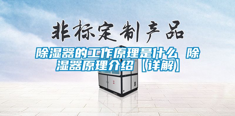 国产精品三级在线观看 除湿器的工作原理是什么 除湿器原理介绍【详解】