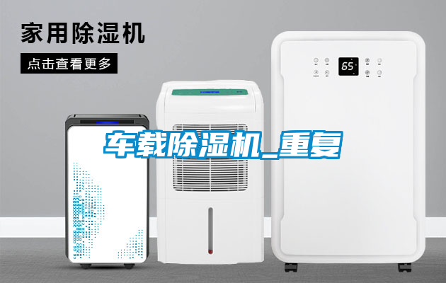国产精品探花在线观看 车载除湿机_重复