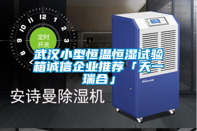 国产精品三级在线观看 武汉小型恒温恒湿试验箱诚信企业推荐「天一瑞合」