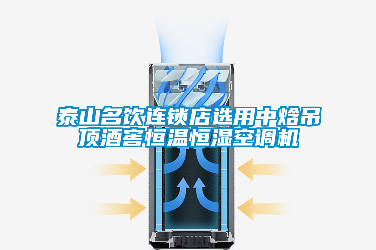 国产精品欧美激情视频 泰山名饮连锁店选用中焓吊顶酒窖恒温恒湿空调机