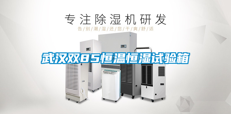 国产精品三级在线观看 武汉双85恒温恒湿试验箱