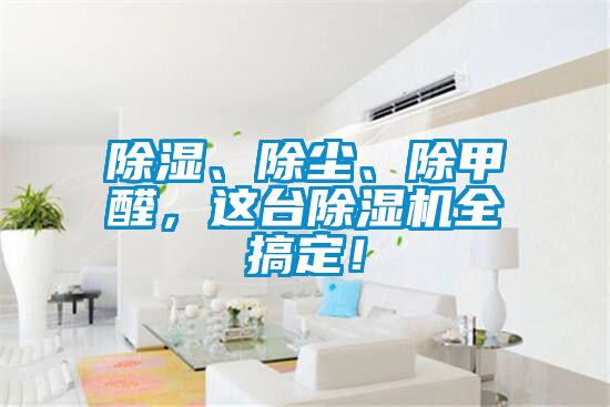 国产精品欧美激情视频 除湿、除尘、除甲醛，这台除湿机全搞定！