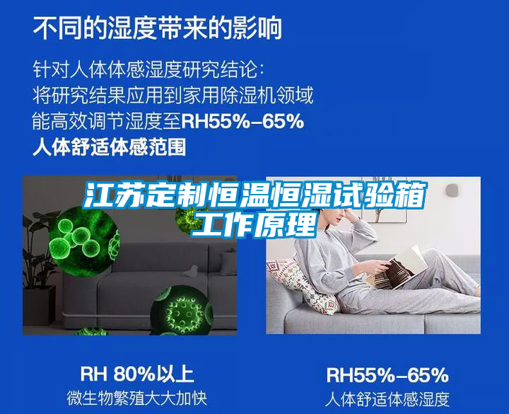 国产精品三级在线观看 江苏定制恒温恒湿试验箱工作原理
