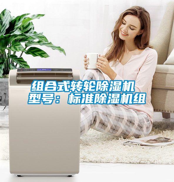国产精品三级在线观看 组合式转轮除湿机 型号：标准除湿机组
