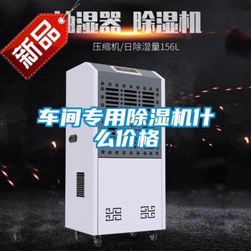 国产精品探花在线观看 车间专用除湿机什么价格