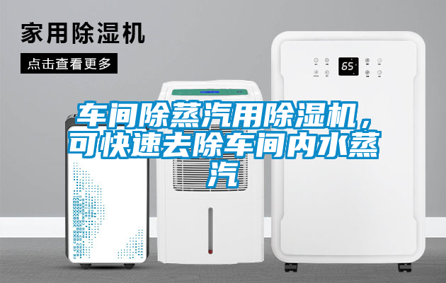 国产精品三级在线观看 车间除蒸汽用除湿机，可快速去除车间内水蒸汽