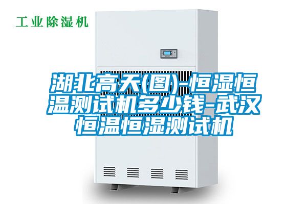 国产精品三级在线观看 湖北高天(图)-恒湿恒温测试机多少钱-武汉恒温恒湿测试机