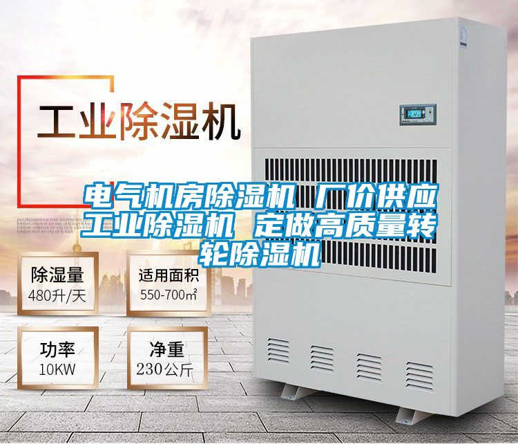 国产精品欧美激情视频 电气机房除湿机 厂价供应工业除湿机 定做高质量转轮除湿机