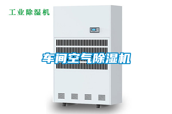 国产精品欧美激情视频 车间空气除湿机