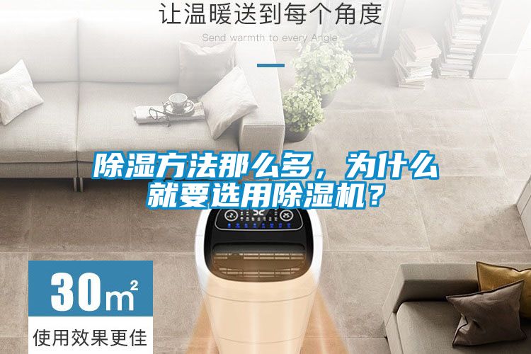 国产精品三级在线观看 除湿方法那么多，为什么就要选用除湿机？