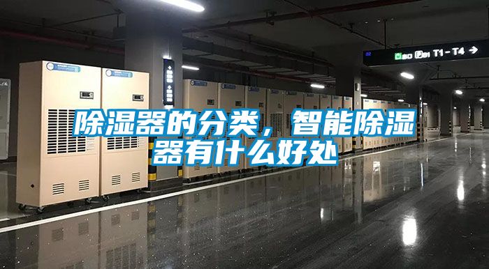 国产精品探花在线观看 除湿器的分类，智能除湿器有什么好处