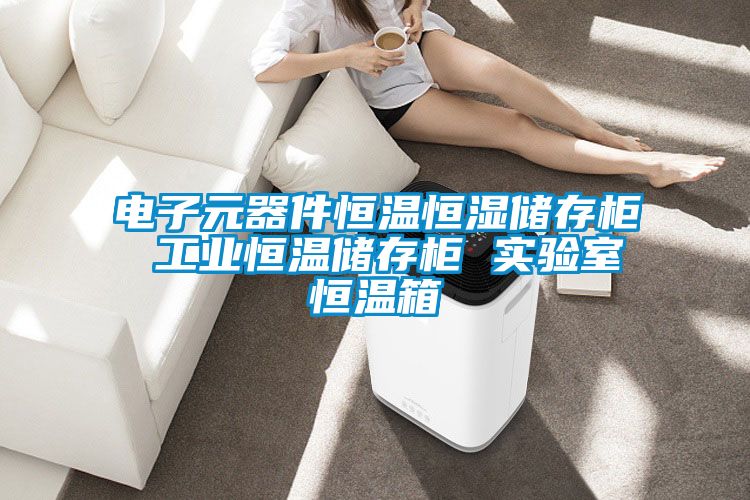 国产精品三级在线观看 电子元器件恒温恒湿储存柜 工业恒温储存柜 实验室恒温箱