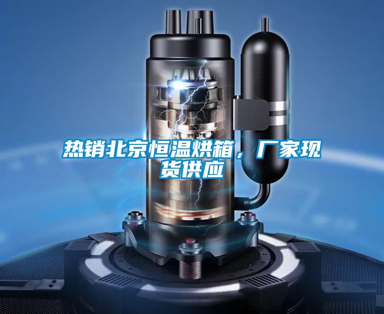 国产精品欧美激情视频 热销北京恒温烘箱，厂家现货供应