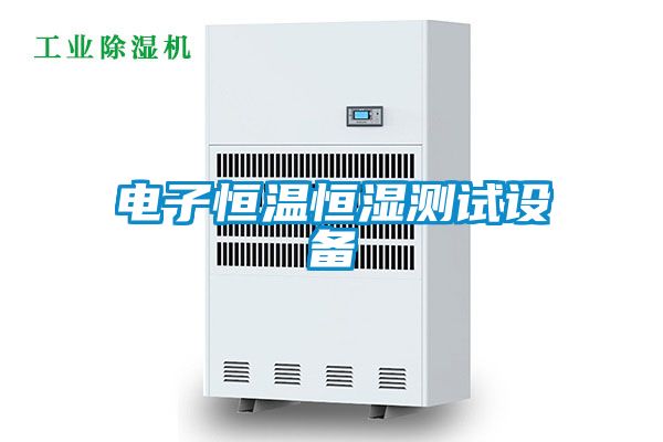 国产精品三级在线观看 电子恒温恒湿测试设备
