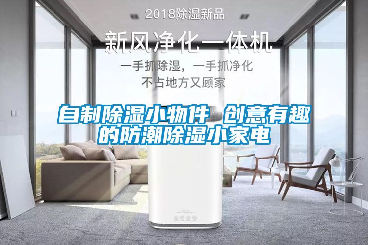 国产精品探花在线观看 自制除湿小物件 创意有趣的防潮除湿小家电