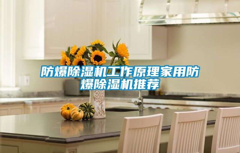 国产精品欧美激情视频 防爆除湿机工作原理家用防爆除湿机推荐