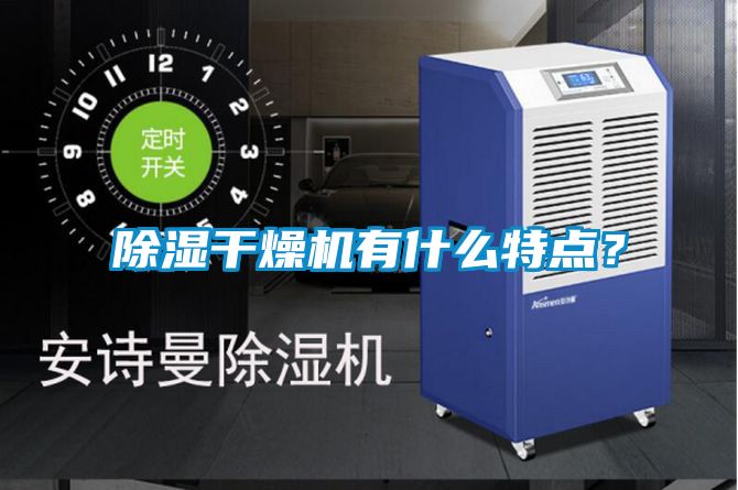国产精品欧美激情视频 除湿干燥机有什么特点？