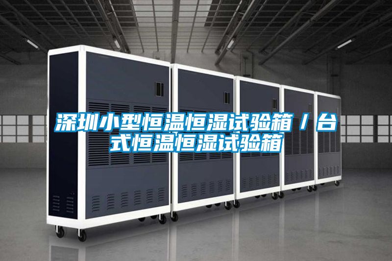 国产精品三级在线观看 深圳小型恒温恒湿试验箱／台式恒温恒湿试验箱
