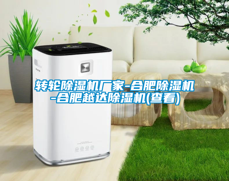 国产精品欧美激情视频 转轮除湿机厂家-合肥除湿机-合肥越达除湿机(查看)