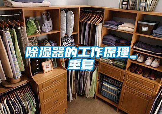 国产精品探花在线观看 除湿器的工作原理_重复